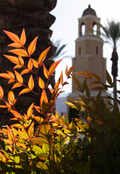 Cathedral City