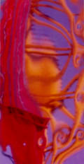 Exotic Reflection