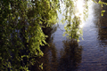Green Lake