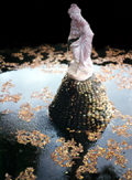 Water Fountain